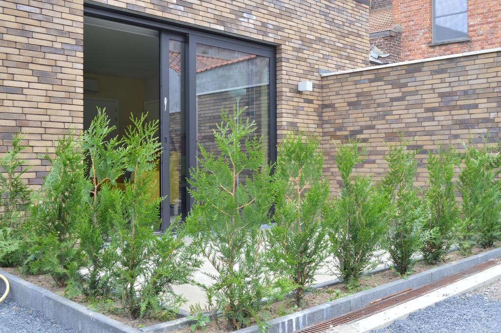 Bed & Zorg Ypres Apartment Exterior photo